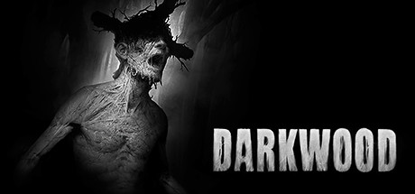 阴暗森林/Darkwood（v4224822）-VIP单机驿站-VIP单机游戏库