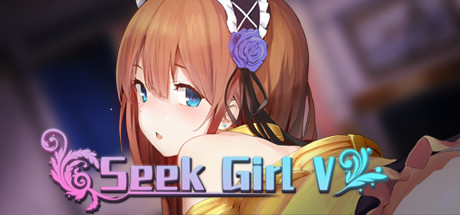 寻找女孩5/Seek Girl V-VIP单机驿站-VIP单机游戏库