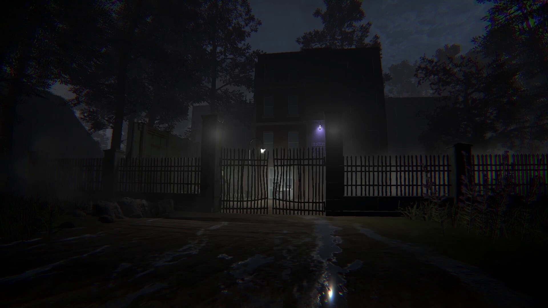 病患001/Patient 001