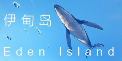 伊甸岛|官方中文|Eden Island|