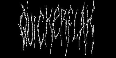 快闪|官方中文|支持手柄|QUICKERFLAK|